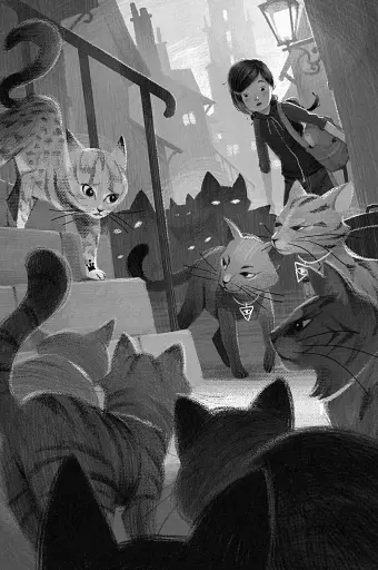 Опівнічні коти. Школа фелідіксів. Книга 1 - фото 6