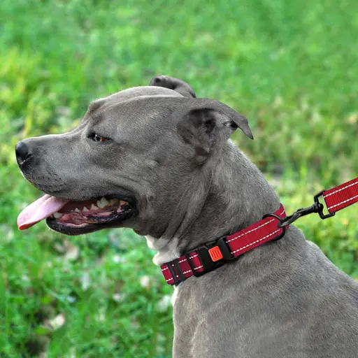 Поводок для собак Barksi Active 152х2 см красный - фото 7