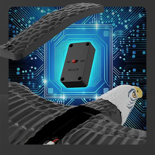 Літак-птица на радіокеруванні SCHE HW40 Eagle Black - фото 4