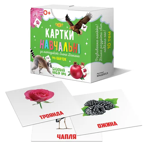 Карточки обучающие Гленна Домана №6 Мастер MKD0013 укр - фото 1