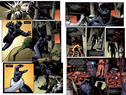 Чорна Пантера. Народ у нас під ногами. Книга 2 - фото 3