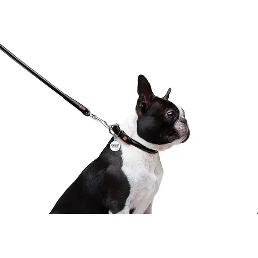 Повідець для собак Waudog Glamour шкіряний круглий, чорний - фото 4