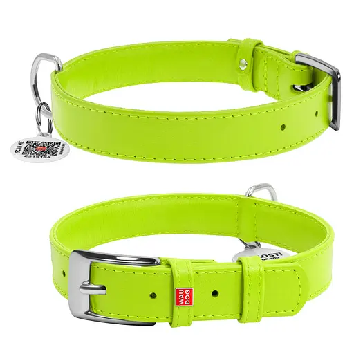 Ошейник для собак кожаный Waudog Glamour с QR-паспортом без украшений L Ш 25 мм Д 38-49 см салатовый