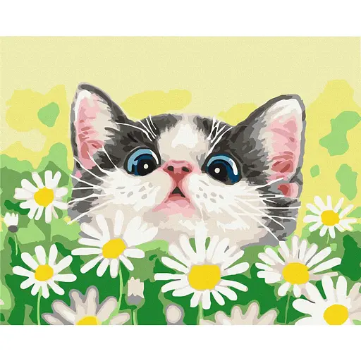 Картина по номерам Кот в ромашках Brushme 40x50 см разноцветная 000277656
