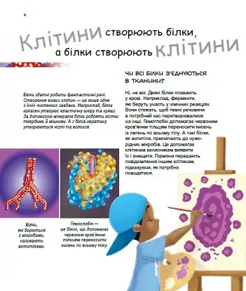 X та Y, дівчинка або хлопчик? - фото 2