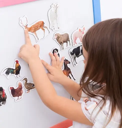 Набор магнитов Magdum "Ферма реалистичные" ML4031-04 EN - фото 5