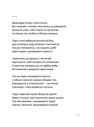 Каміння і цвяхи - фото 8