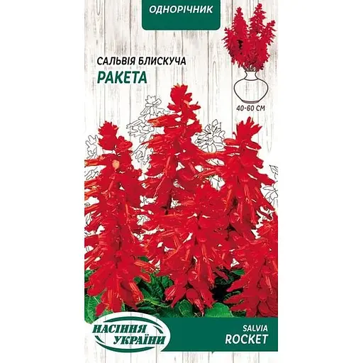Насіння Сальвія блискуча Насіння України Ракета 0.2 г (801300)