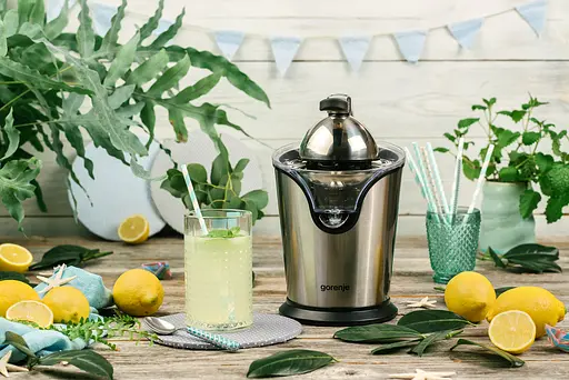 Соковижималка Gorenje CJ 100 HE GS-401F 6536522 - фото 4