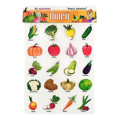 Набор магнитов на листе "Овощи" Artos 1267ATS Укр. 20 шт. - фото 1