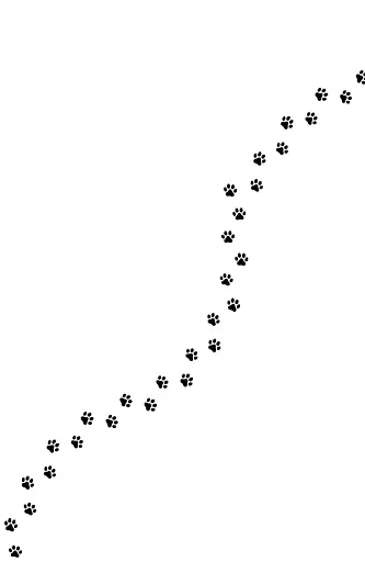 Солодкий дарунок Гемлі - фото 5