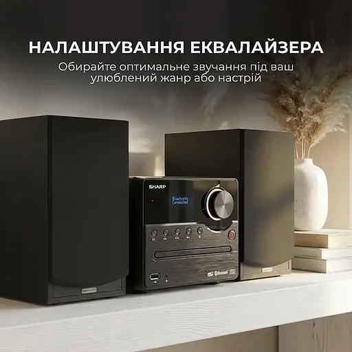Музыкальный центр Sharp XL-B517D(BK) Black - фото 8