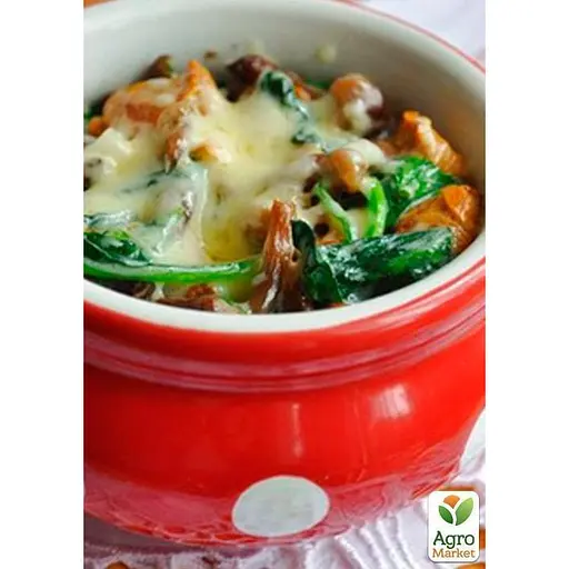 Міцелій на дубових брусочках "Глива Чаудинского гриб" 10шт (45250) - фото 2