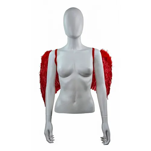 Крылья ангела - фото 3