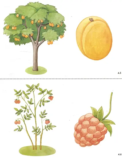 Слово до слова - звучить рідна мова. Середній вік - фото 12