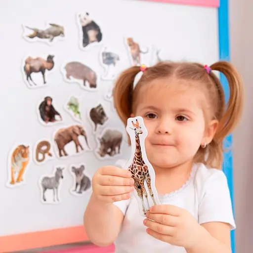 Набір магнітів Зоо 19шт ML4031-02 EN - фото 5