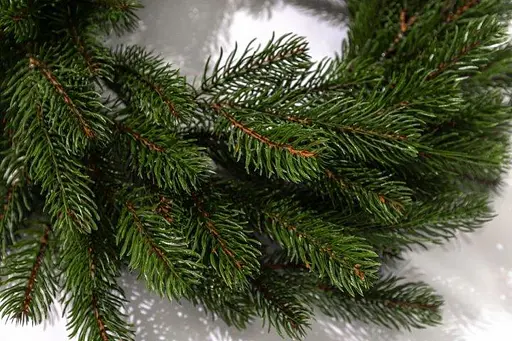 Різдвяний вінок Ковалевський з хвої (діаметр - 45 см) литий Зелений - фото 2