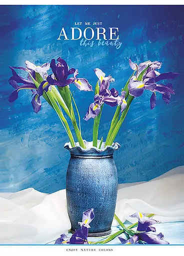 Комплект 4 шт общих тетрадей. Тетрадь Школярик А5 48 л. в линию 5067 4823088207620 - фото 2