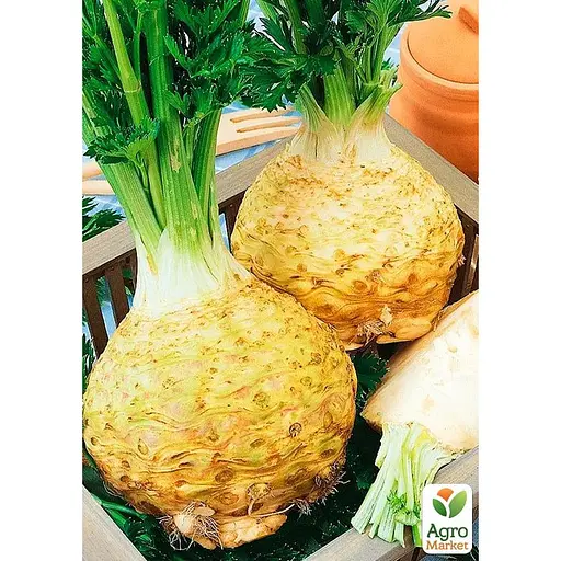 Селера коренева (Зипер) ТМ "Весна" 1г (11930) - фото 2