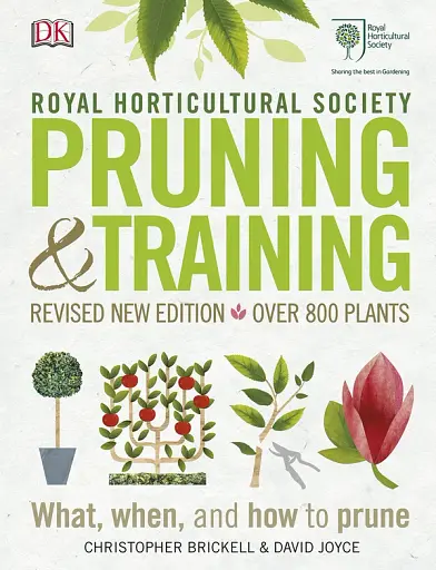 Pruning and Training