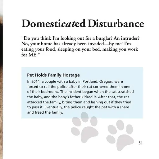 Cats Gone Bad - фото 3