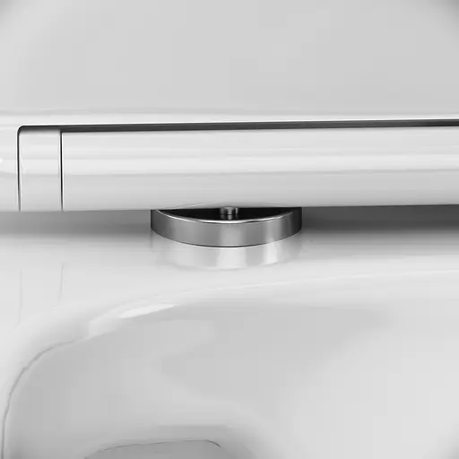 Унитаз-компакт Damixa Scandinavian Pure безободковый с сиденьем микролифт белый DX36C8601SC, Белый - фото 6