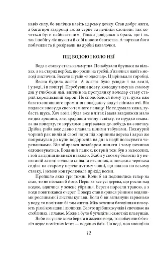 Підзамча. Поезія, проза, листи - фото 10