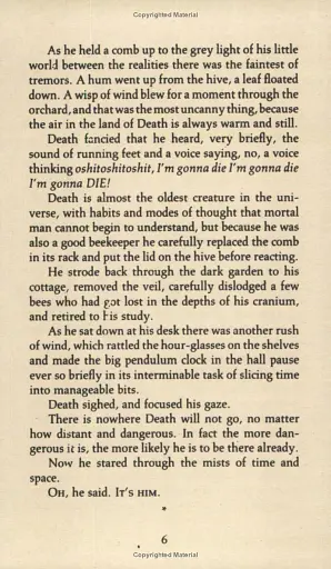 Eric. Discworld - фото 6