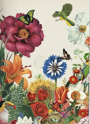 Plant Magick. The Library of Esoterica - фото 5