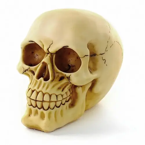 Череп Йорик под кость - фото 1