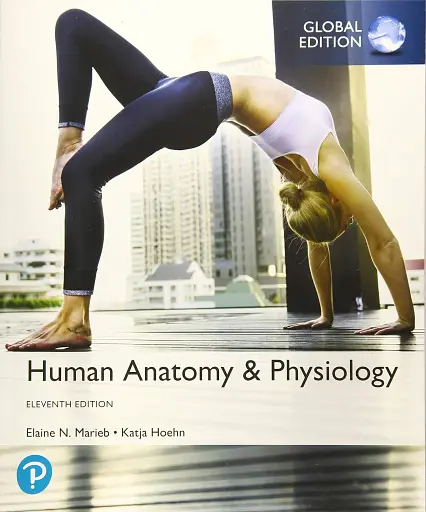Human Anatomy & Physiology Global Edition
