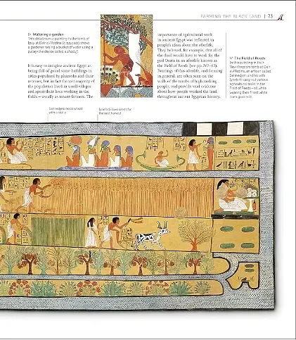 The Definitive Visual History. Ancient Egypt - фото 4
