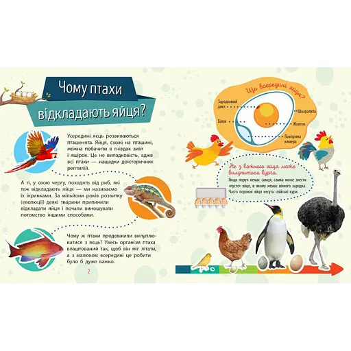 Обучающая книжка Почемучки "Животные" 875008 вопросы и ответы - фото 3