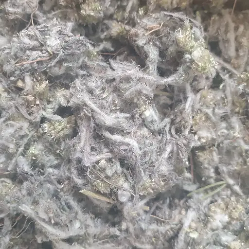 100 г сухоцвіт болотний/сушениця трава сушена - свіжий урожай