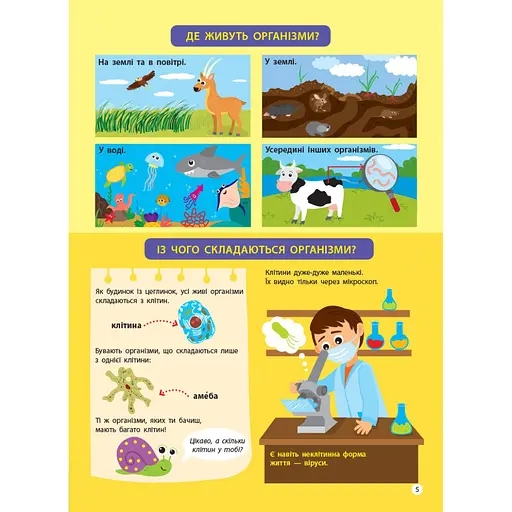 Детям о науке "Биология" 14003 на украинском языке, 32 страницы - фото 5
