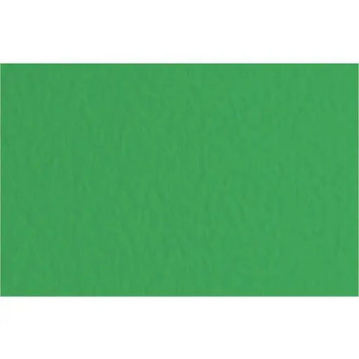 Папір для пастелі Fabriano Tiziano A3 (29.7х42см) №12 prato 160г/м2 зелений середнє зерно - фото 1