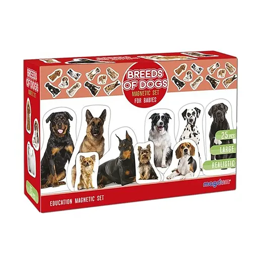 Детский развивающий набор магнитов Породы собак ML4031-20EN 24 фотомагниты
