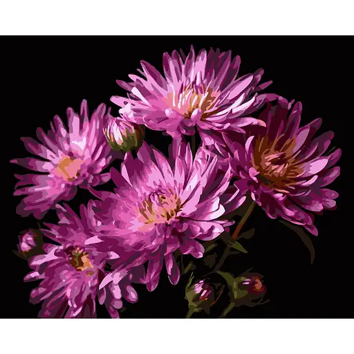 Картина по номерам Strateg Бархат георгин на черном фоне 40Х50 см (AH1267) - фото 1