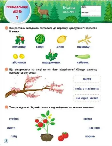 Тренувальний зошит. SMARTліто. Іду у 3 клас - фото 3