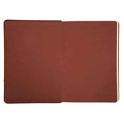 Дневник-деловая записная книжка А5 Leo Planner 2026 Whisky коричневый 368 страниц (252670) - фото 2