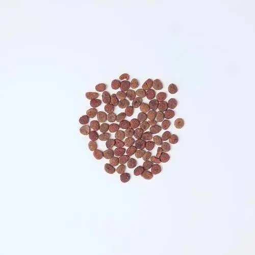 Сухой корм Carnilove True Fresh Cat для взрослых кошек с курицей 4 8 кг - фото 2