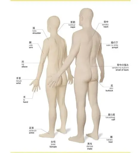 Japanese-English Bilingual Visual Dictionary - фото 4