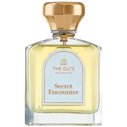 Духи оригинал The Gate Fragrances Paris Secret Encounter 100 мл тестер Extrait de Parfum - фото 1