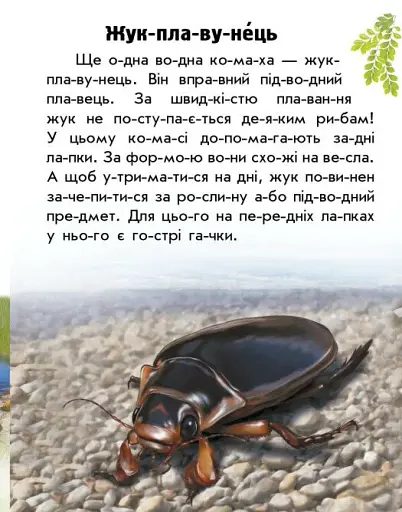 Читаю про Україну. Тварини річок та морів - фото 5