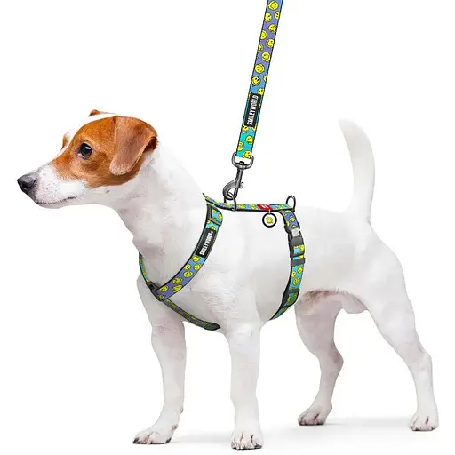 Шлея для собак Waudog Nylon анатомічна H-подібна з QR-паспортом, малюнок "Смайли на блакитному", пластиковий фастекс, S - фото 3