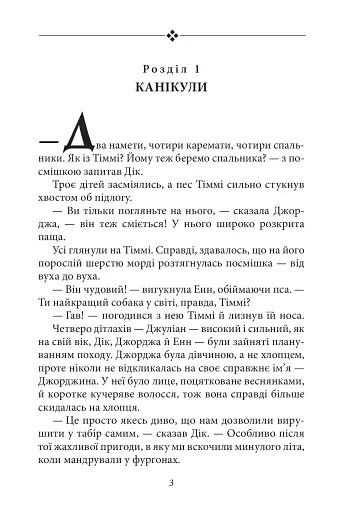 Славетна п’ятірка. Книга 7. П’ятеро вирушають у табір - фото 4