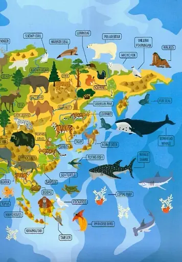 Дитячий простір : Тварини і рослини світу / Animals and plants of the world (Українська ) - фото 6