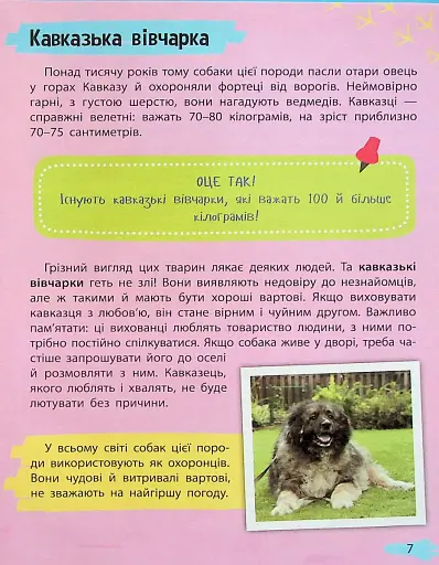 Мініенциклопедія. Хатні улюбленці - фото 7