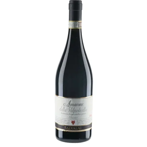 Вино Salvalai Amarone della Valpolicella Classico DOC сухое красное 15% 0.75 л