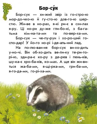 Читаю про Україну. Тварини лісів - фото 6